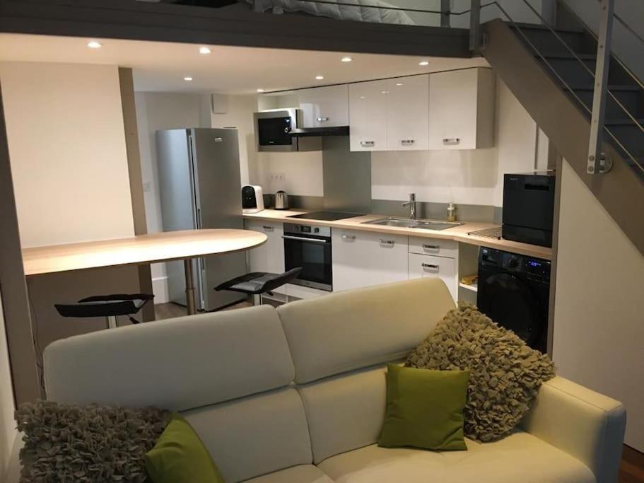 Hyper Centre Orleans : Appartement De Charme Esterno foto